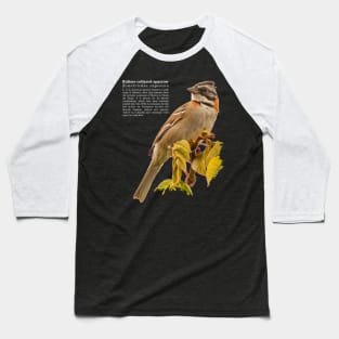 Rufous-collared sparrow bird white text Baseball T-Shirt